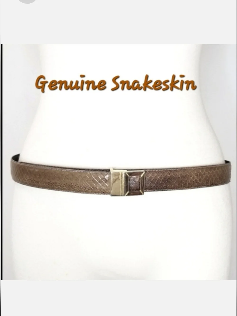 Genuine Snakeskin 1
